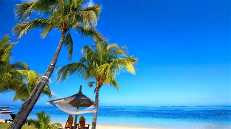 Paradise Palm Beach 1280 X 720 Hdtv 720p Wallpaper