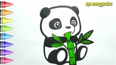 Mudahnya Ayo Belajar Cara Menggambar Panda Lucu Dan Mewarnai Kartun