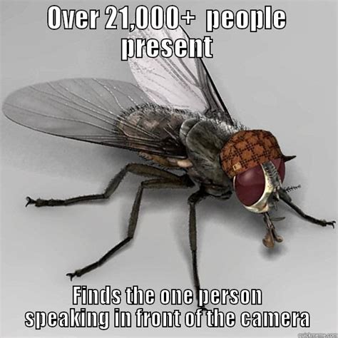 Scumbag Fly memes | quickmeme
