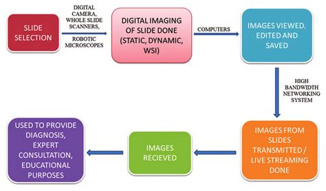 Process Of Digital Pathology Download Scientific Diagram