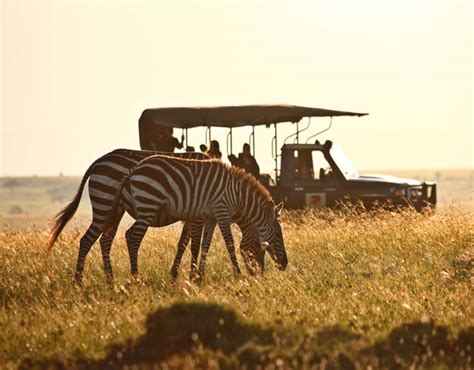 Luxury Kenya Safaris Kenya Luxury Safari Company