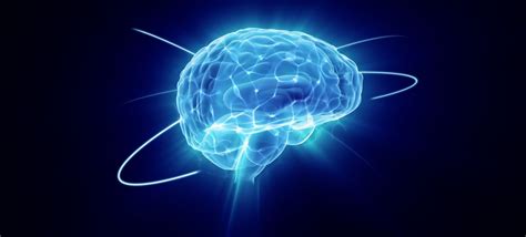 77 Fascinating Human Brain Facts