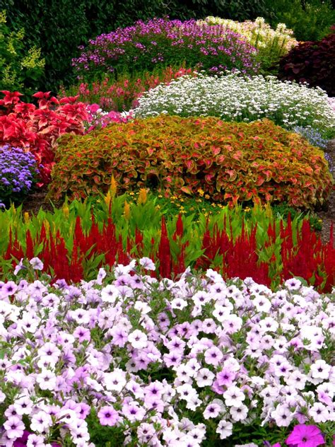 Shop from the world's largest selection and best deals for flower & plant raised garden beds. Flower Beds | Beautiful flowers garden, Outdoor flowers ...