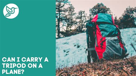 Can I carry a tripod on a plane?