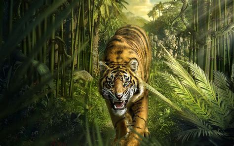 Tygrys Dżungla Tiger Images Jungle Wallpaper Animal Wallpaper
