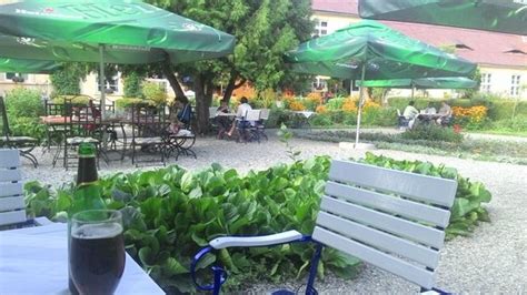 Photos, address, and phone number, opening hours, photos, and user reviews on yandex.maps. Benches in front of the hotel - Picture of Brukenthal ...