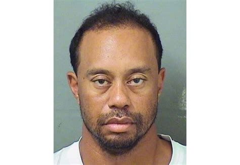 tiger woods arrested for dui says medication not alcohol was the culprit
