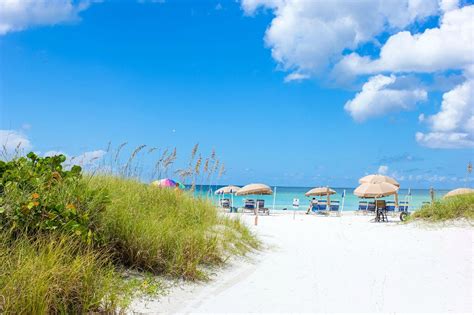 Tropical Beach Resorts Hotel Reviews And Price Comparison Siesta Key