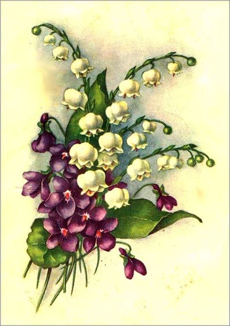 Épinglé Sur Cartes Illustrées Vintage Fleurs
