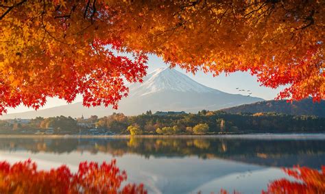 Mount Fuji In Autumn Sunrise Imgur Japan Kleuren Herfst