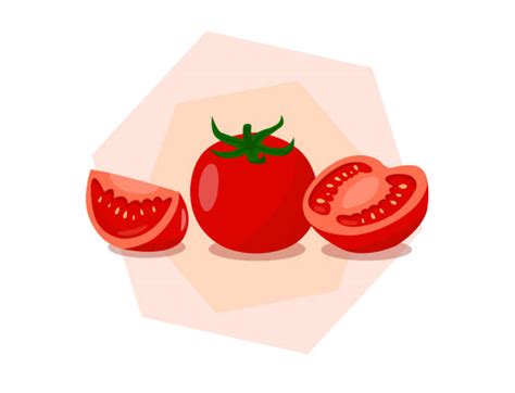 Roma Tomato Isolated Illustrations Royalty Free Vector Graphics And Clip
