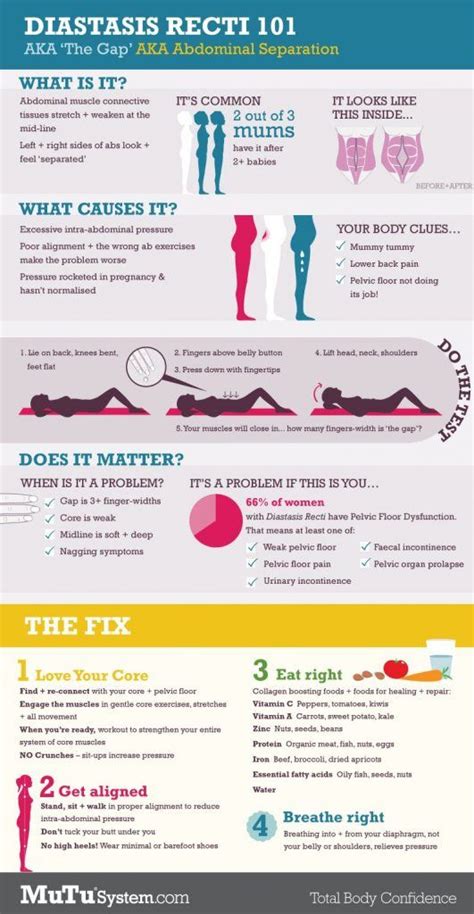 A Pelvic Floor Infographic For Moms