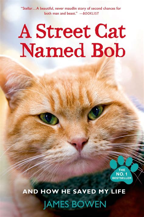 a street cat named bob [cinecure]