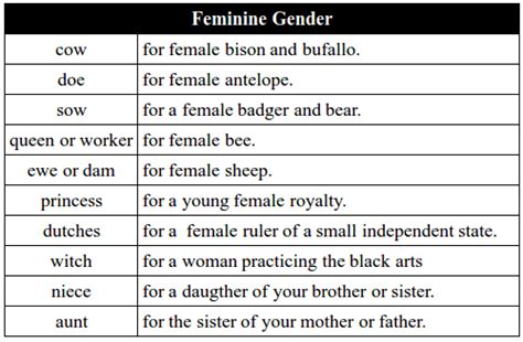 Genders Of Nouns Feminine