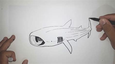 How To Draw Whale Shark In 5 Minutes Youtube