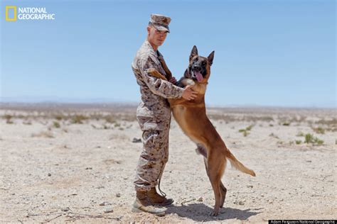 The Incredible Bond Between War Dogs And Their Marine Handlers Photos