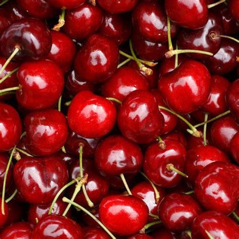 Red Cherry At Rs 500kilogram Cherries Id 18348660448