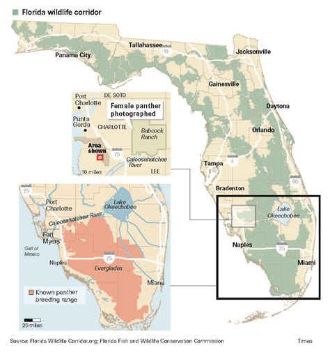 Florida Panther Habitat Map