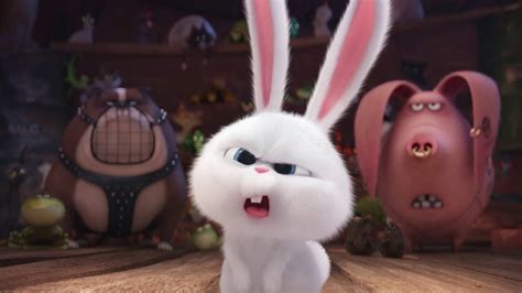 Create Meme Evil Rabbit Cartoon Rabbit The Secret Life Of The Pet