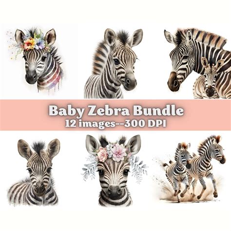 Zebra Baby Shower Clip Art