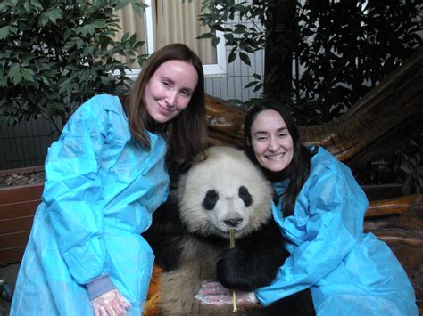 Hugging A Panda In Chengdu China The Travel Sisters