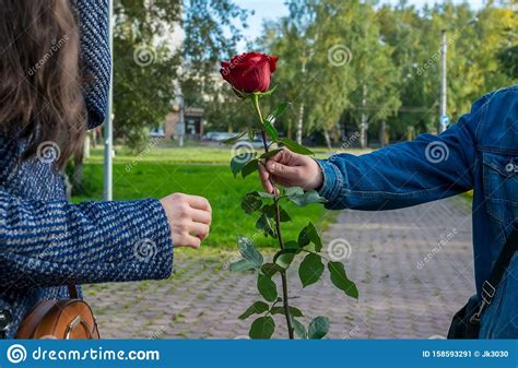 A Man S Hand Gives The Girl A Red Rose Flower Stock Image Image Of
