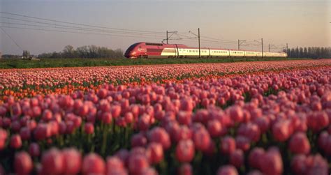 Cheap Train Tickets Europe And Great Rail Tours Happyrail