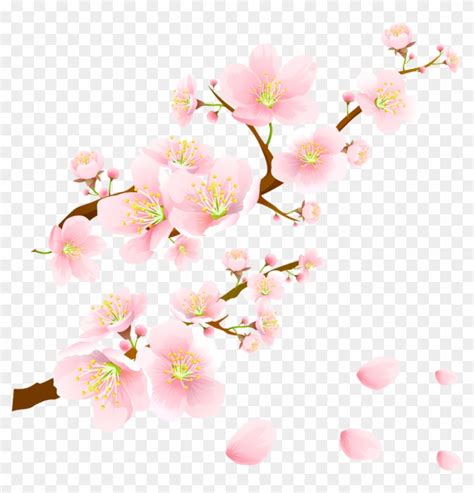 Tons of awesome sakura free fire wallpapers to download for free. Sakura Sticker - Cherry Blossom, HD Png Download ...