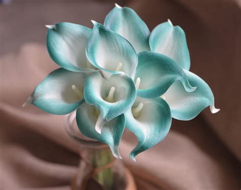 Check spelling or type a new query. 10 Teal White Center Calla Lilies Real Touch Flowers DIY ...