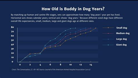 A dog's human age = 16 ln * your dog's age + 31. Home | Told you so, Giant dogs, Dog years