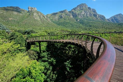 Kirstenbosch Botanical Gardens Sito Naturale Cape Town Lonely Planet