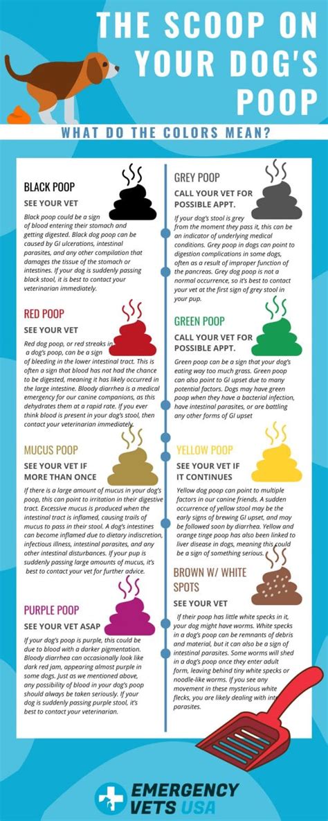 Dog Poop Chart Printable Pdf Download Poop Explained I Love