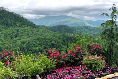 Top 4 Reasons Why You Will Love Spring In The Smoky Mountains