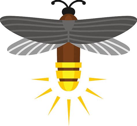 Free Firefly Clip Art Flying Firefly Clipart Clipart Best
