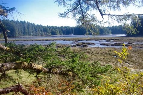 South Slough Loop Hike Hiking In Portland Oregon And Washington