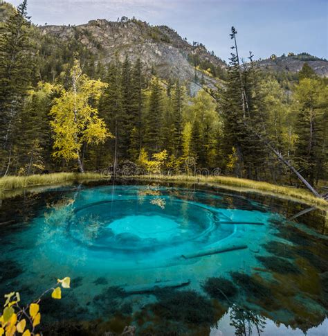 Unusual Blue Lake In Altay Region Stock Image Image Of Region Birch