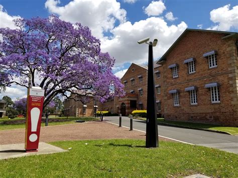 Western Sydney University Westmead Campus