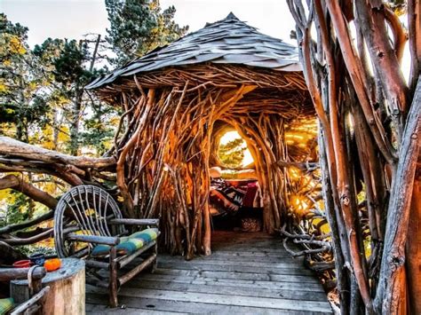 6 Amazing Treehouse Hotels Around The World For 2023 Trips To Discover