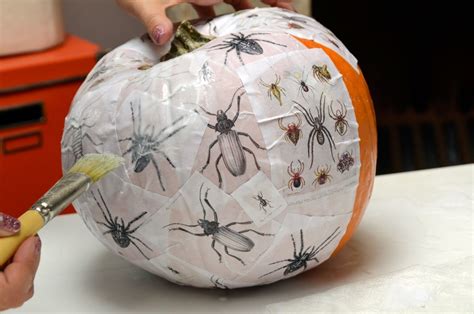 10 Most Recommended Non Carving Pumpkin Decorating Ideas 2022