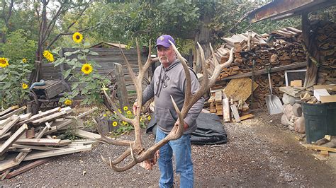 The Largest Elk Ever Taken In Montana Will Be Put On Display
