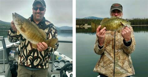 Big Smallies Out Of Noxon Montana Hunting And Fishing Information