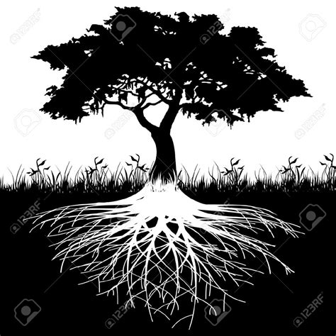 Tree With Long Roots Clipart Clipground