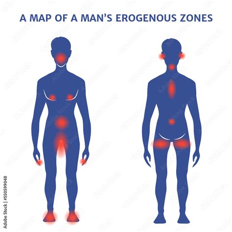 Male Erogenous Zones Silhouette With Marks Vector Illustration Vector