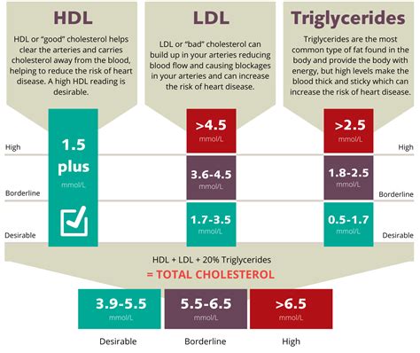 Raised cholesterol level itself is not the problem. High Cholesterol - Victor Chang Cardiac Research Institute