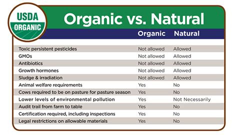 What is Organic Food? Are There Benefits In Going Organic?