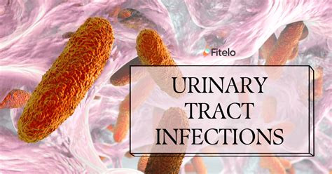 Urinary Tract Infection Uti What Foods To Eat And What To Avoid