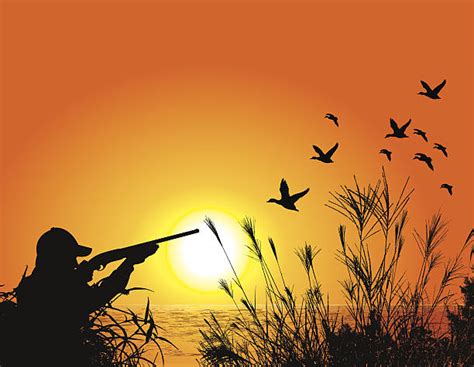 Royalty Free Duck Hunting Clip Art Vector Images And Illustrations Istock