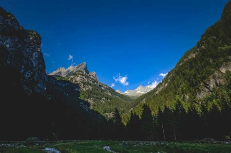 Mountain Slope With Trees In Sunlight · Free Stock Photo