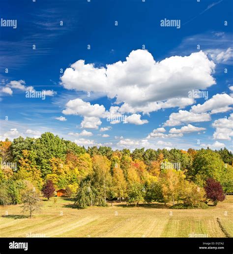 Beautiful Autumn Landscape With Yellow Red Trees And Blue Sky Stock