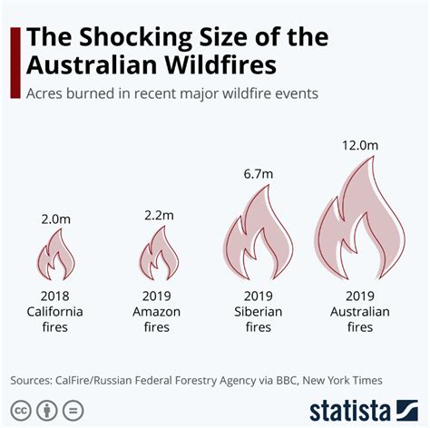 Australia Fires 5 Things To Know About The Bushfire Crisis World Economic Forum